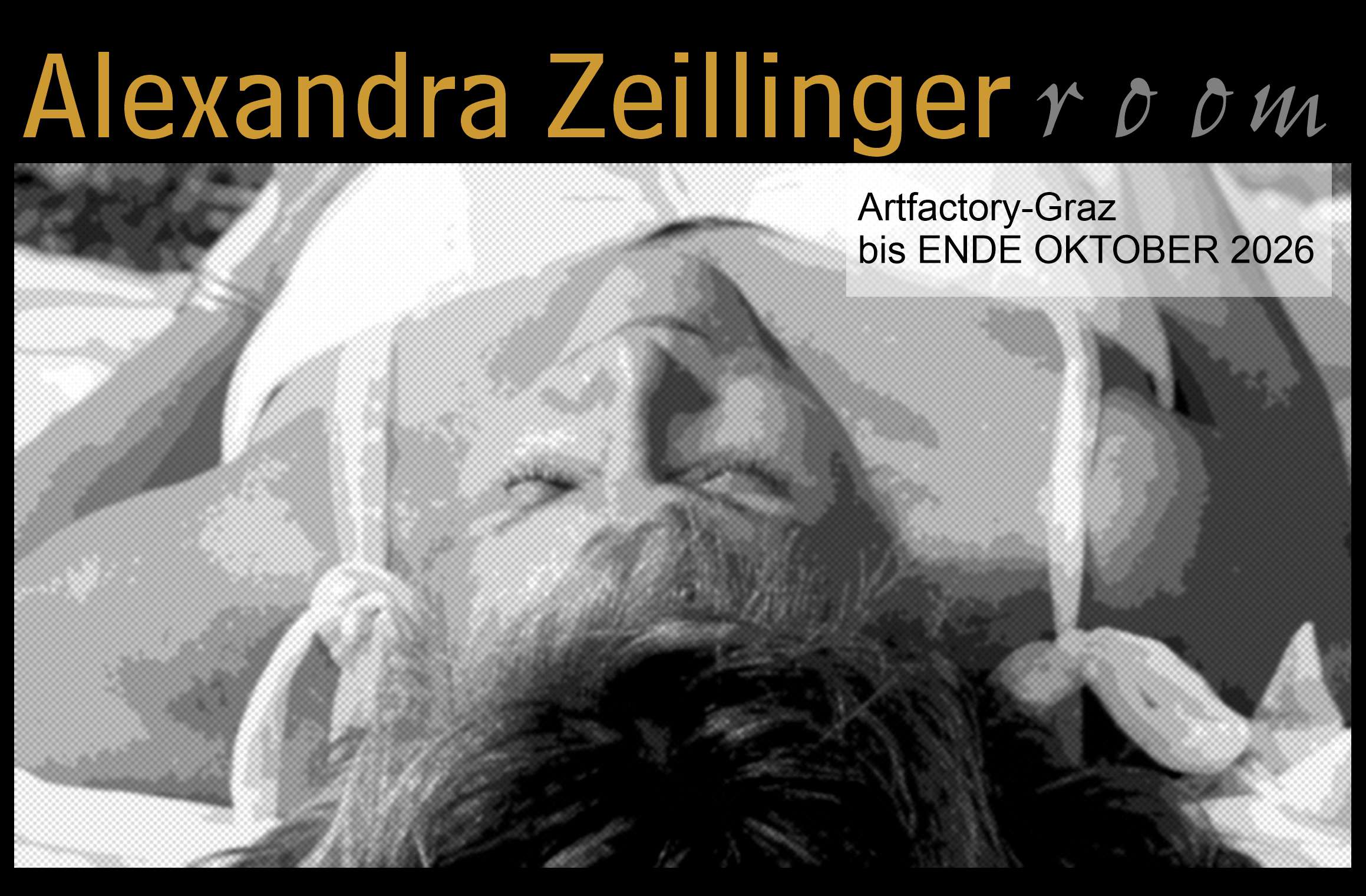 alexandra zeillinger room